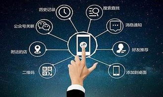 微信小程序吸粉引流策略与软件开发指南